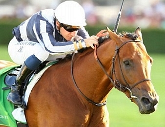 Erupt sera au départ de la Japan Cup associé à Pierre-Charles