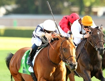 Erupt sera au départ des King George