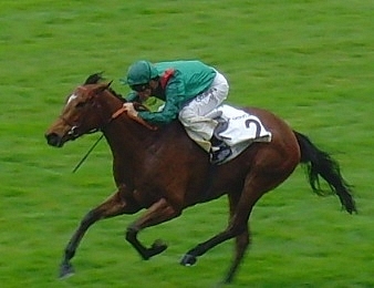 Ervedya sera au départ du Prix du Muguet à Saint-Cloud ce dimanche 1 mai 2016