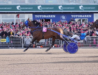 Etonnant lors de l'Elitloppet 2022