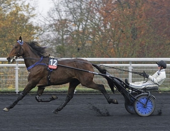 Etonnant s'impose de bout en bout dans le Prix d'Eté