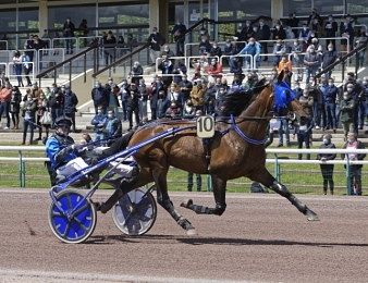Etonnant sera au départ du Grand Prix des Géants