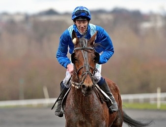 Evangelina Blue triomphe