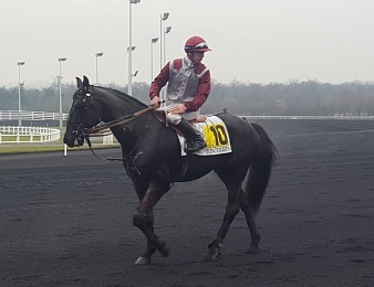 Eye of the Storm a fait mieux que Scipion du Goutier ce jeudi à Vincennes