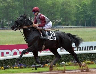 Eye Of The Storm rentre dans le Prix Lavater ce vendredi 1er juin à Vincennes