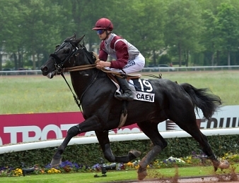 Eye Of The Storm sera au départ du Prix des Elites ce dimanche 24 septembre à Vincennes