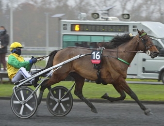 Face Time Bourbon remporte la Loterie de Naples ce dimanche 3 octobre en Italie.
