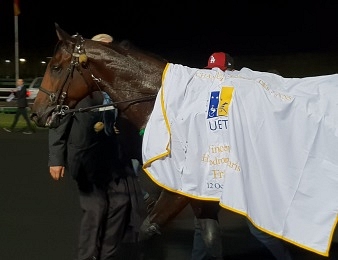 Face Time Bourbon s'impose dans le Championnat Européen des 3 ans à Vincennes