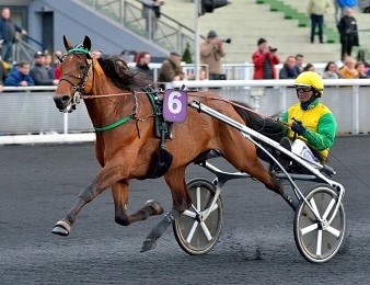 Face Time Bourbon sera au départ de la Prix d'Amérique Races ZEturf Qualif #2