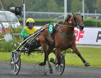 Face Time Bourbon sera le favori du Grand Prix d'Amérique 2020.