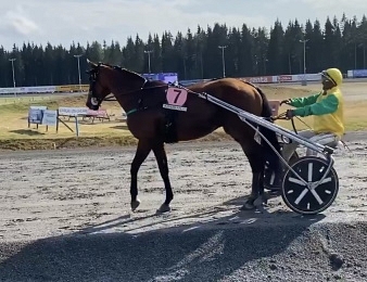 Face Time Bourbon survole le Prix Saint Michel ce dimanche 18 juillet en Finlande.