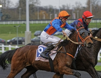 Fin de carrière de Gladys des Plaines.
