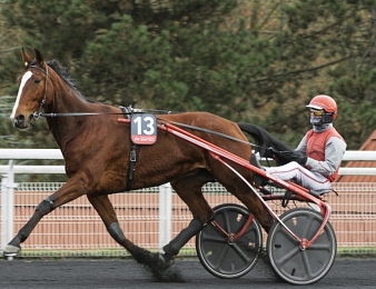 Fin de carrière pour Chica de Joudes.