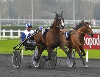 Fin de carrière pour Cobra Bleu.