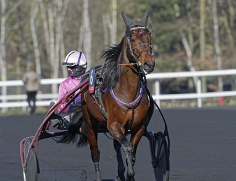 Fin de carrière pour Diable de Vauvert.
