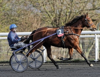 Fin de carrière pour Havanaise.