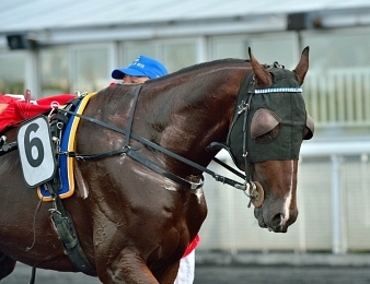 Fin de Meeting d'Hiver pour Eugenito du Noyer