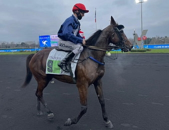 Flamme du Goutier sacrée dans le Prix de Cornulier