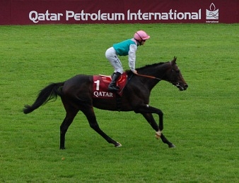 Flinsthire participera à la Breeders' Cup Turf