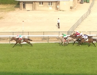 Flintshire a impressionné dans le Grand Prix de Paris