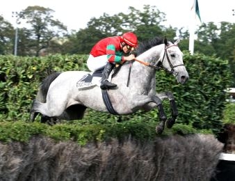 Formosa Joana Has lors du Prix de la Gascogne