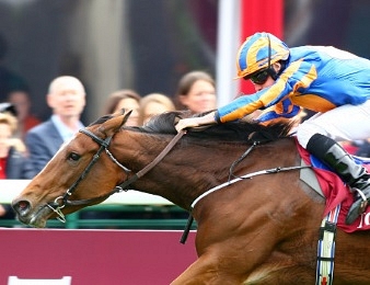 Found a triomphé lors du Qatar Prix de l'Arc de Triomphe 2016