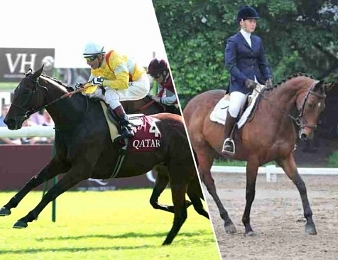 France Galop organise une journée exceptionnelle