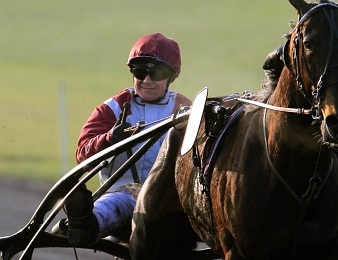 Franck Nivard au sulky de Ready Cash