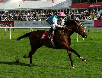 Frankel pourrait concourir pour la dernière fois lors des Champion Stakes