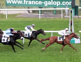 French Fifteen : lauréat du Criterium international avec un certain talent