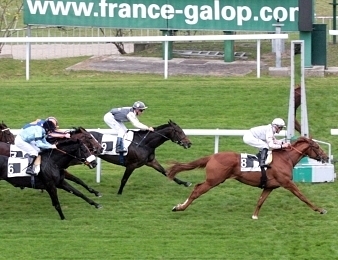 French Fifteen remporte le Prix Djebel