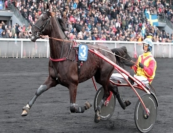 Gabriele Gelormini au sulky de Voltigeur de Myrt