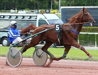 Galius reste invaincu en douze tentatives depuis le début de sa carrière.