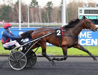 Ganay de Banville, vainqueur du Prix de l'Etoile 2021 à Vincennes.