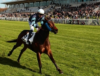 Garlingari sera au départ du Prix Exbury ce samedi 17 mars à Saint-Cloud