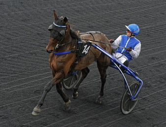 Gaspar d'Angis gagne de bout en bout dans le Prix des Cévennes.