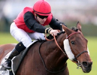 Gentoo lors de sa victoire dans le Prix Royal-Oak 2010