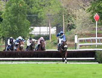 Gex tentera de succéder à Sel Jem dans le Grand Steeple-Chase de Paris