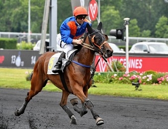 Prix du Président de la République : Gladys des Plaines élue - Trot | Zone-Turf.fr