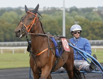Gladys des Plaines vient de rentrer à l'attelage ce dimanche 10 avril à Lisieux.