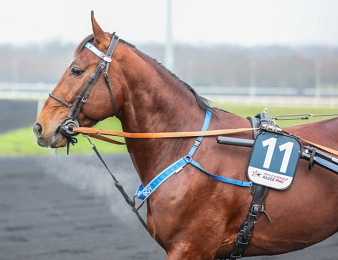 Go On Boy conserve son titre