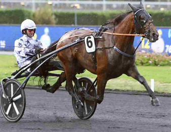 Go On Boy enlève le Critérium des 4 ans à Vincennes ce samedi 29 août.