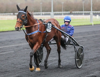 Go On Boy est l'un des cinq concurrents français au départ de l'Elitloppet 2025