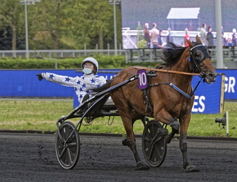 Go On Boy rentre victorieusement.