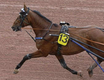 Go On Boy reprend sa couronnne