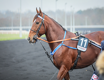Go On Boy va tenter de décrocher le titre dans le Prix de l'Atlantique