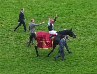 Golden Horn