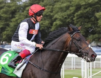 Golden Horn