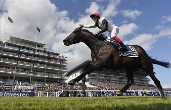Golden Horn est toujours invaincu