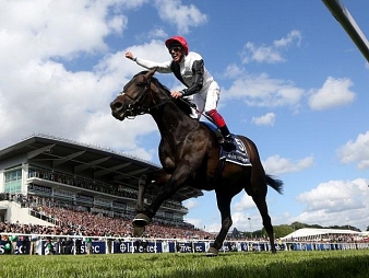 Golden Horn lors de sa victoire dans le Derby d'Epsom